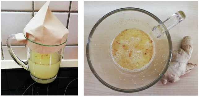 mit-einem-kaffeefilter-kannst-du-deinen-ansatz-abd-victoria-clauss-utopia-210603_download Mit einem Kaffeefilter kannst du deinen Ansatz abdecken. Nach ein paar Tagen erkennst du deutliche Blasen im Ginger Bug.