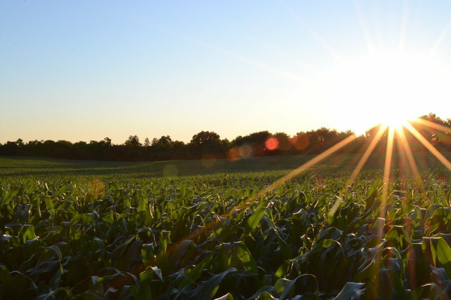 die-nachhaltige-landwirtschaft-wird-nach-der-inten-cc0-pixabay-free-photos-210409_download Die nachhaltige Landwirtschaft wird nach der Intensivierung der Produktion immer stärker gefordert.
