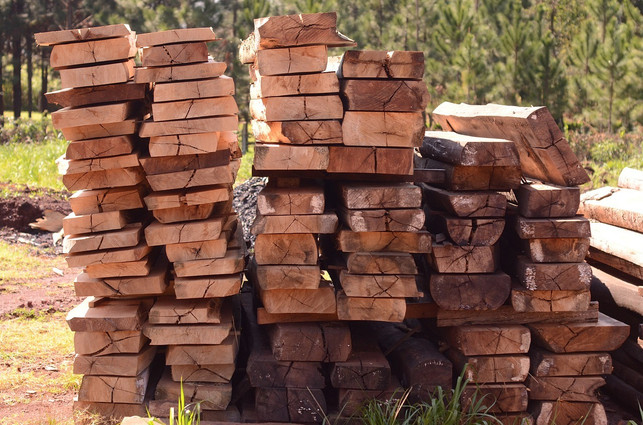 du-kannst-deutsches-eichenholz-als-regionale-alter-cc0-pixabay-guillermocinque-200717_download Du kannst deutsches Eichenholz als regionale Alternative zu Palisander kaufen.