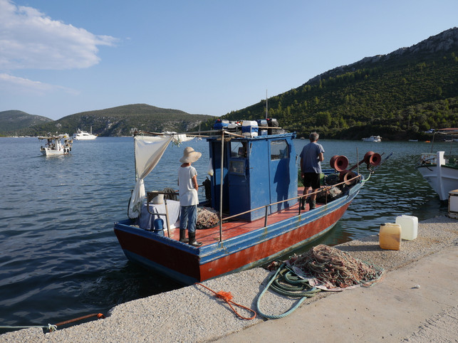 leeres-mittelmeer-durch-ueberfischung-kleine-fisch-sven-christian-schulz-utopia-200213_download Leeres Mittelmeer durch Überfischung: Kleine Fischer sind besonders betroffen