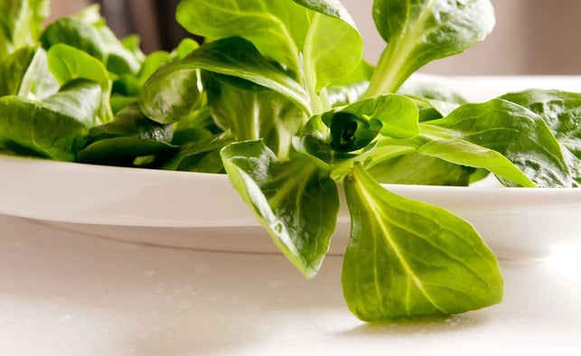 im-kuehlschrankbleibt-feldsalat-bis-zu-einer-woche-cc0-pixabay-sponchia-190414_download Im Kühlschrankbleibt Feldsalat bis zu einer Woche frisch.