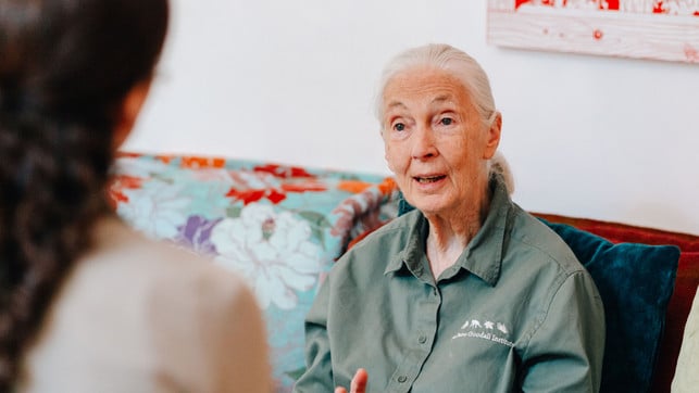 Jane-Goodall-u-190627-1280x720 Jane Goodall Interview