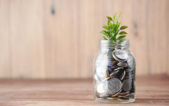 Triodos Nachhaltiges Investieren Triodos Nachhaltiges Investieren