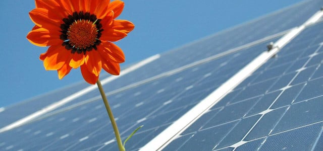 Photovoltaikanlagen gewinnen umweltfreundlichen Strom.