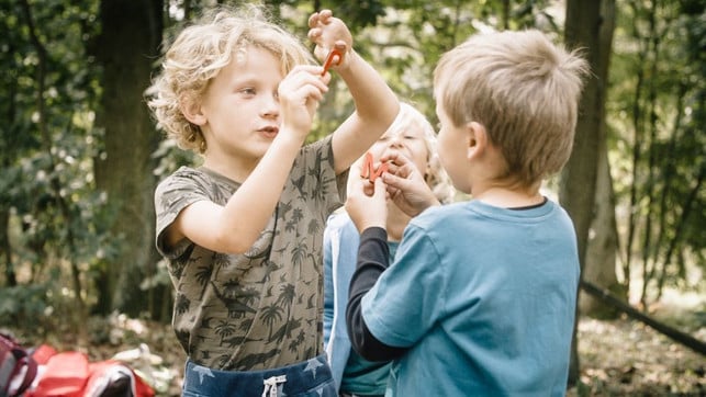 die-doku-ueber-die-waldklasse-ist-online-verfuegbar-johannes-kaczmarczykhermannfilmrbb-191117_download Die Doku über die Waldklasse ist online verfügbar.