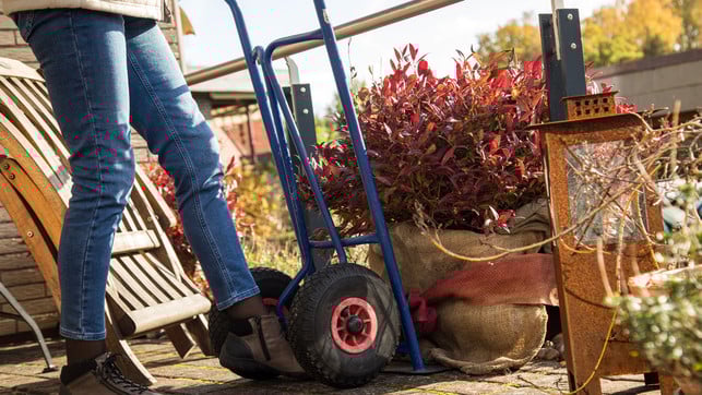 umzug-pflanzen-garten1-dpa Bei großen Kübelpflanzen kann es Sinn machen, eine Fachfirma für den Transport zu beauftragen. (