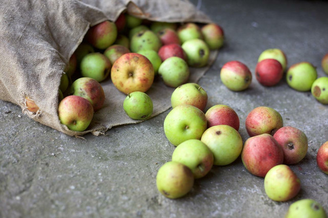 mit-einer-regional-saisonalen-und-pflanzlichen-ern-cc0-pixabay-filmbetrachter-220817_download Mit einer regional-saisonalen und pflanzlichen Ernährung kannst du einen Beitrag zur globalen Ernährungssicherheit leisten.