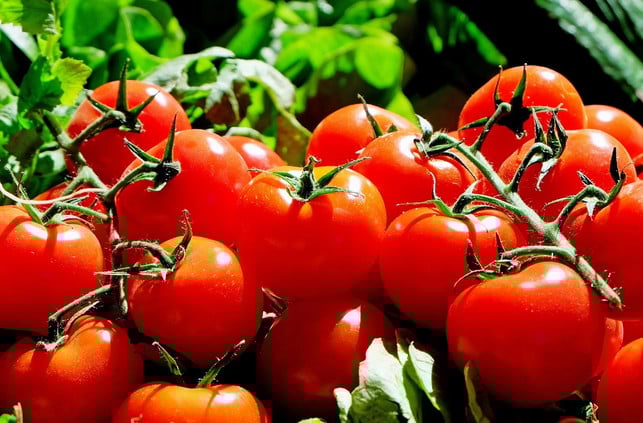 tomaten-sind-reich-an-lycopin-cc0-pixabay-couleur-181129_download Tomaten sind reich an Lycopin.