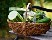 Zucchini Chips