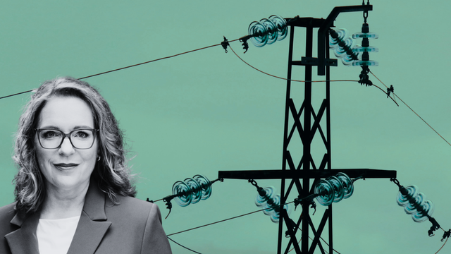 Kopie Claudia Kemfert Energieökonomin Podcast Changemaker - Artikelbild(4) Claudia Kemfert Energieökonomin