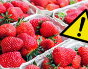 Erdbeeren Öko-Test Pestizide