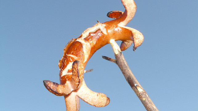 Bratwurst-pb-20190813-1280x720 Bratwurst