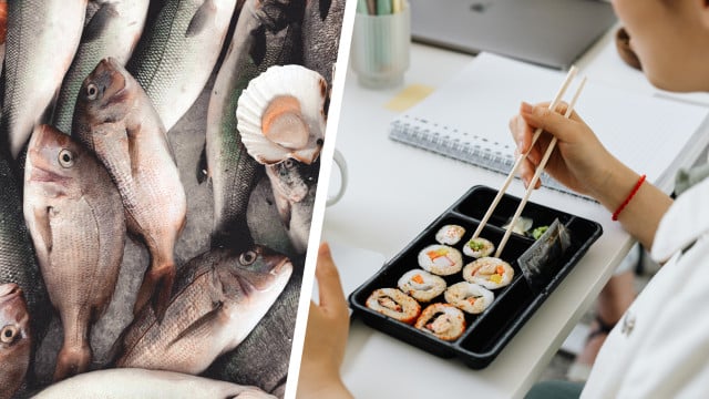 Mikroplastik, Schwermetalle und Co.: Wie gesund ist es heute noch, Fisch zu essen? Fisch