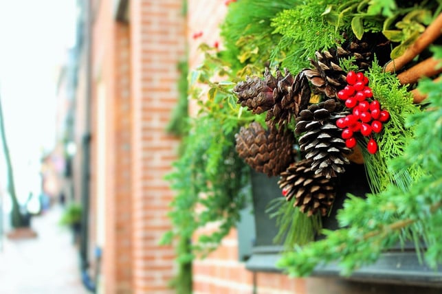 weihnachtsgesteck-aus-naturmaterialien-cc0-pixabay-free-photos-181115_download Mit dieser Weihnachtsdeko aus Naturmaterialien sieht dein Fensterbrett farbenfroh und einladend aus.