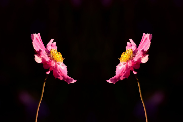 “Am I like that too?” A question that shows the ability for self-reflection.