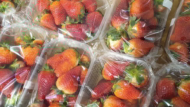 frueherdbeeren-bw-230329-1280x720 Verführerisch Rot: 6 Gründe, warum du auf Früherdbeeren lieber verzichten solltest