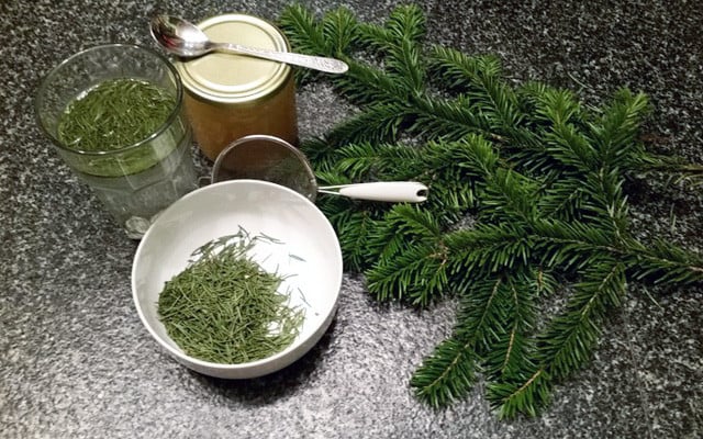 weihnachtsbaum-upcyceln-640-400 Ganz schnell wird aus Tannennadeln ein feiner Tee