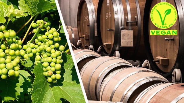 veganer-wein-cc0-pixabay-hanslinde-leohau-170731 Veganer Wein