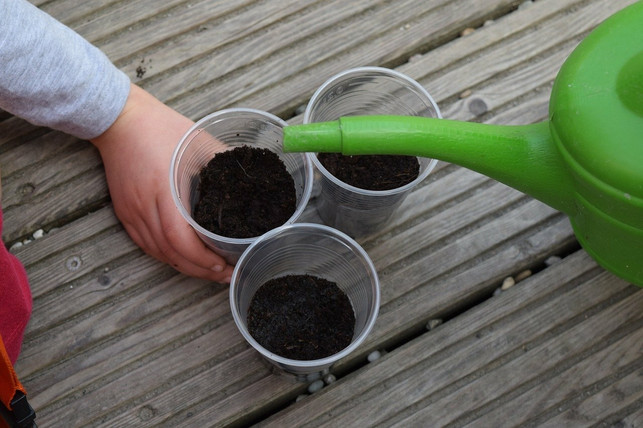 blumen-giessen-im-garten-am-besten-in-den-fruehen-m-cc0-pixabay-verawit-210715_download Blumen gießen im Garten: Am besten in den frühen Morgenstunden