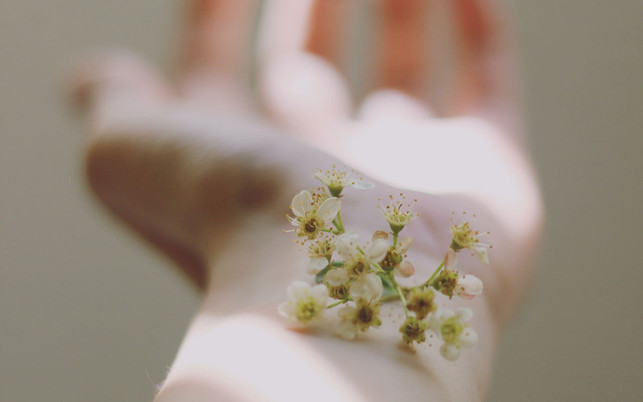 carolina-heza-zwPYmB1GlNE-unsplash_1280x800px