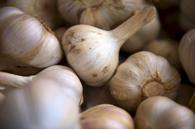 biomuell-verwerten-nutzen-knoblauch-z-unsplash-160309-1280x853 biomuell-verwerten-nutzen-knoblauch-z-unsplash-160309-1280x853