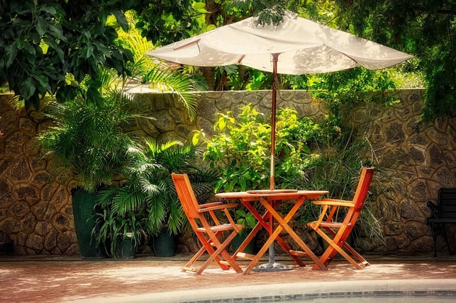 im-sommer-gefaellt-es-der-keulenlilie-auch-auf-terr-cc0-pixabay-fietzfotos-201228_download Im Sommer gefällt es der Keulenlilie auch auf Terrassen und Balkonen.