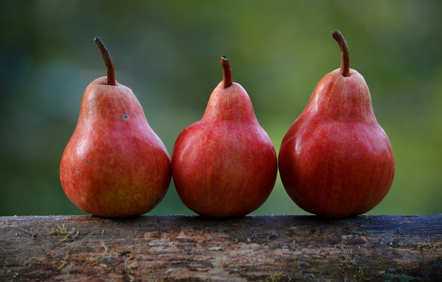 birnen-enthalten-viele-vitamine-und-mineralstoffe-cc0-pixabay-free-photos-190627_download Birnen sind gesund, denn sie enthalten viele Vitamine und Mineralstoffe.