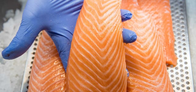 "Faule Fische": Foodwatch-Bericht verdirbt Appetit auf Lachs