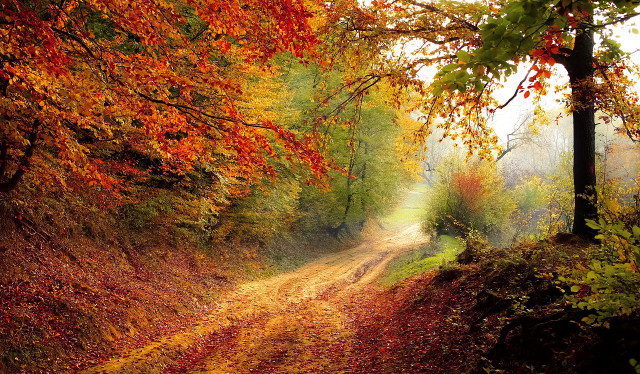 in everyday life, everyone has less and less direct contact-cc0-pixabay-valiphotos-221228_download In everyday life, everyone has less and less direct contact with the earth's surface. According to the Grounding, this is one of the reasons for various physical ailments and discomforts.