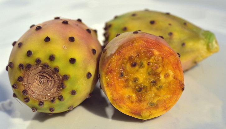 Nopal: So wird der Feigenkaktus angewandt - Utopia.de