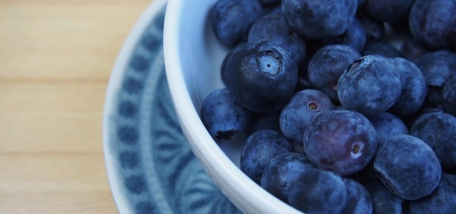 blaubeeren heidelbeeren waschen