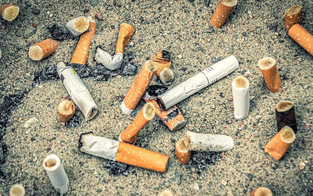 zigaretten-boden-pb-analogicus-211130-1280x800 Landen Zigaretten nicht im Aschenbecher, werden sie zum Umweltproblem.