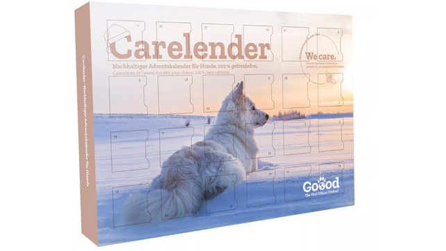 adventskalender2022-hunde Bessere und nachhaltige Adventskalender für Hunde
