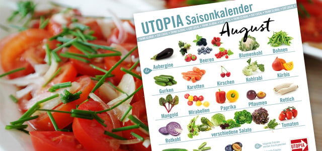 Utopia Saisonkalender August
