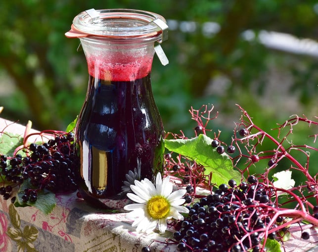 Grip-to-mother juice-in-bio-qualaet-CC0--Pixabay-retae-2250614_Download Take the bio quality of mother juice.