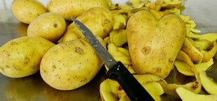 schälen kartoffeln