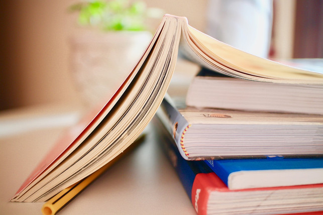 fuer-buecherwuermer-ist-der-beruf-des-lektors-aeusserst-cc0-pixabay-sweetlouise-181212_download Für Bücherwürmer ist der Beruf des Lektors äußerst attraktiv.