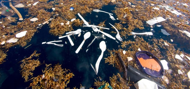Plastik Plastikmüll Meer Karibik Plastik Plastikmüll Meer Karibik