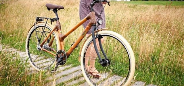 Bambus Fahrräder: my Boo