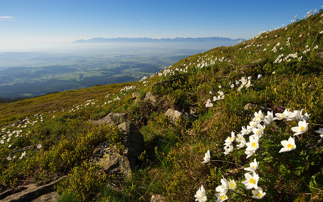 Ausblick in Babia Góra (Polen) Ausblick in Babia Góra (Polen)