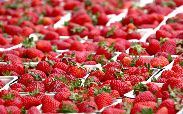 hironobu-fukuman-bHF80lspHtA-unsplash_1280x800px