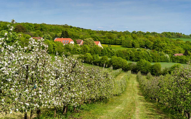 Nachhaltig Reisen Saarland Bliesgau Nachhaltig Reisen Saarland Bliesgau