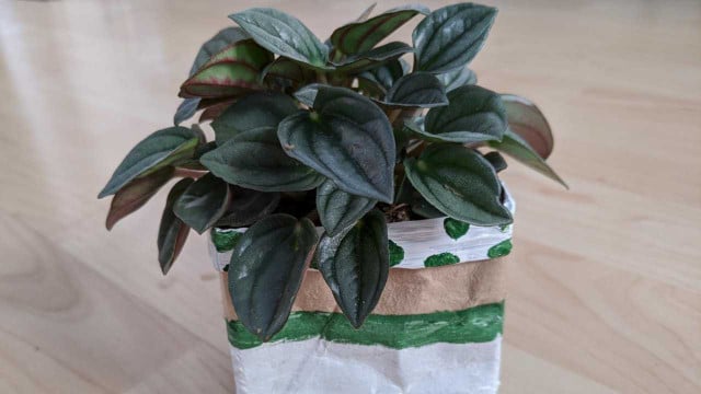 upcycling-tetrapak-utopia-inke-klabunde-200709 Upcycling Tetrapak