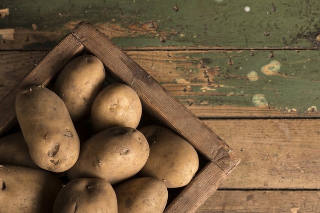 wenn-du-kartoffeln-richtig-lagerst-dann-kannst-du-cc0-pixabay-markopaak-241106_download Wenn du Kartoffeln richtig lagerst, dann kannst du auch über die Saison hinaus von ihnen zehren.
