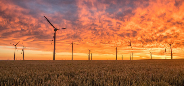 Seltene Erden sind ein wichtiger Rohstoff für Windkraftanlagen und damit zentral für die Energiewende.