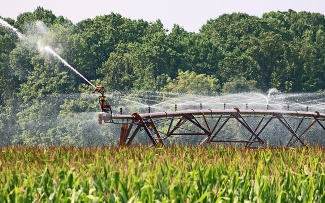 feld-bewaesserung-pb-JCFUL-210903-1280x800 Mais Feld Bewässerung