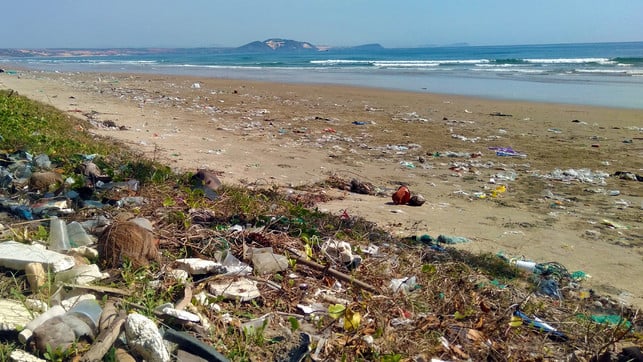 Supermarkt verkauft Spiegeleier in Plastikverpackung – ist die Menschheit noch zu retten? Spiegeleier in Plastikverpackung
