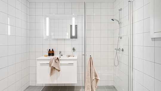 katzenstreu-als-luftentfeuchter-cc0-pixabay-lisaphotos195-250321 Katzenstreu als Luftentfeuchter