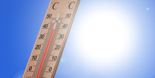 die-sommer-werden-immer-heisser-und-in-vielen-regio-cc0-pixabay-geralt-250408_download Die Sommer werden immer heißer und in vielen Regionen auch trockener. Das gefällt der Hortensie gar nicht.