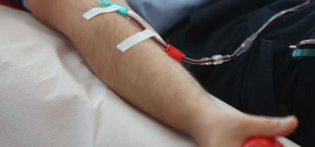 Fragen & Antworten: Gelockerte Regeln beim Blutspenden für homosexuelle Männer